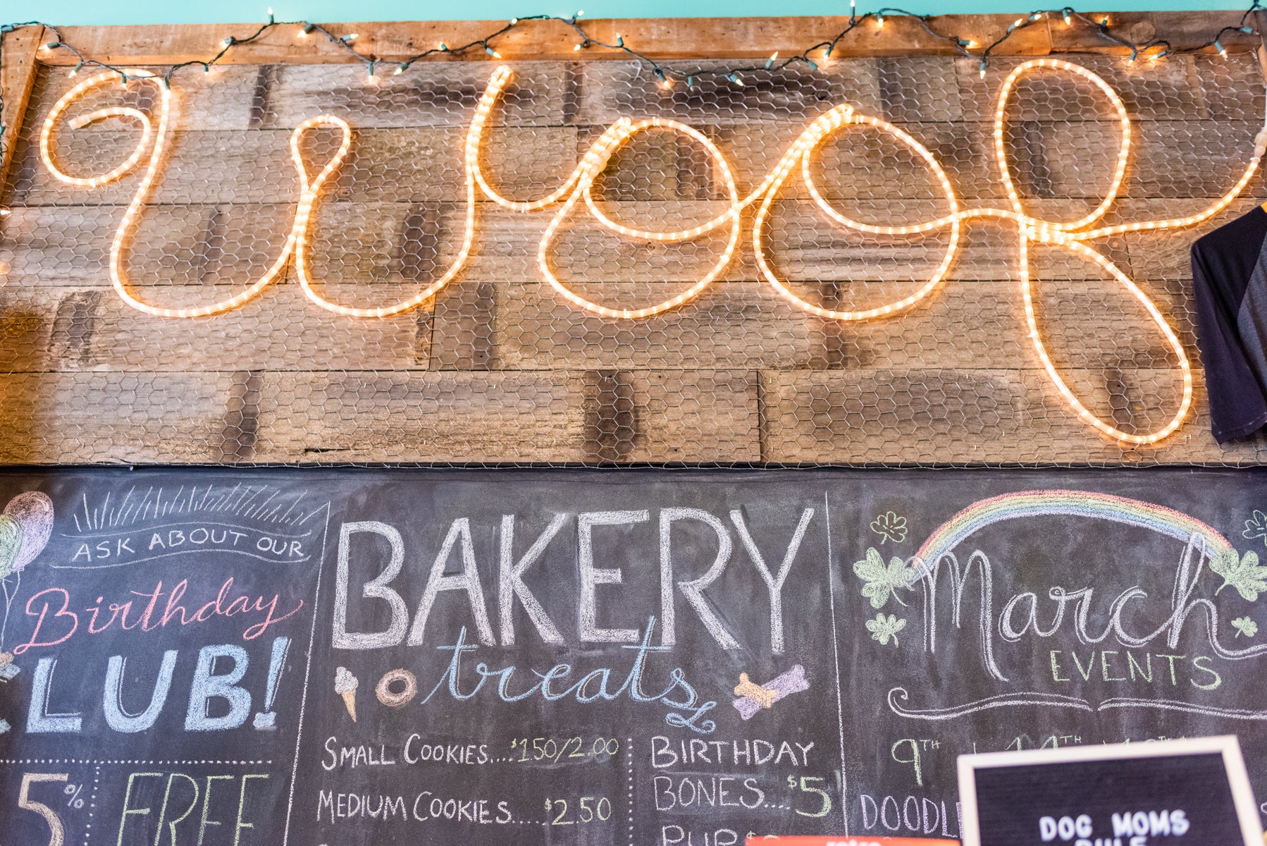 Find Dog Products in Sioux Falls Shop Dog Boutique